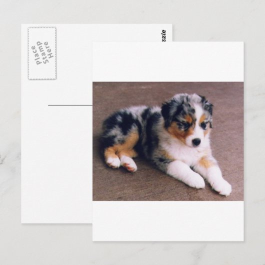 愛は,,, ポストカード (正面/裏面)