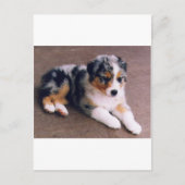 愛は,,, ポストカード (正面)