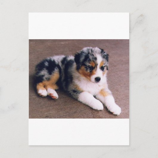 愛は,,, ポストカード (正面)