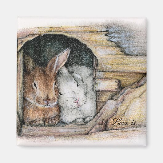 愛は… マグネット (正面)