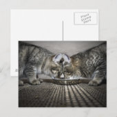 愛は…分かち合い ポストカード (正面/裏面)