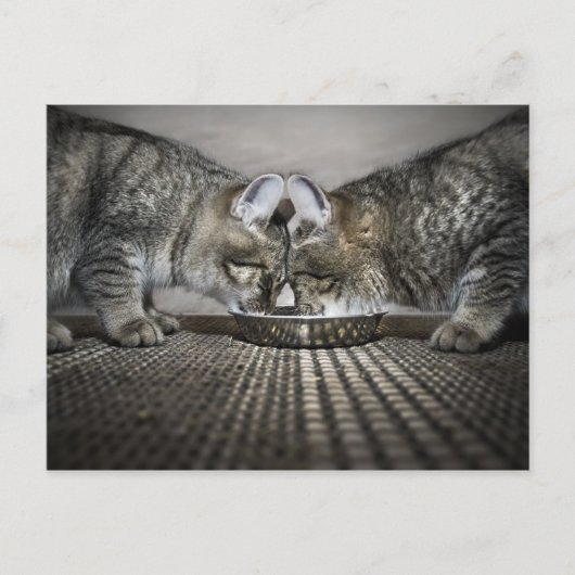 愛は…分かち合い ポストカード (正面)