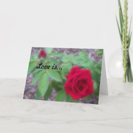 「愛は」空白の内のノテカード ノートカード