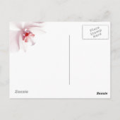 愛は…郵便はがきです ポストカード (裏面)