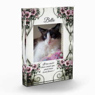 愛もしは救... フォトブロック