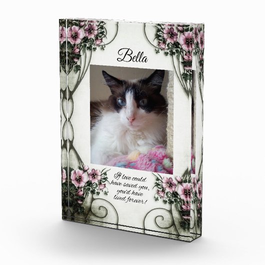 愛もしは救... フォトブロック (右)