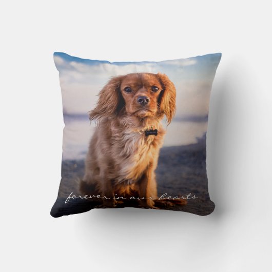 愛もし独り森ペット記念写真祈りの言葉 クッション (裏面)