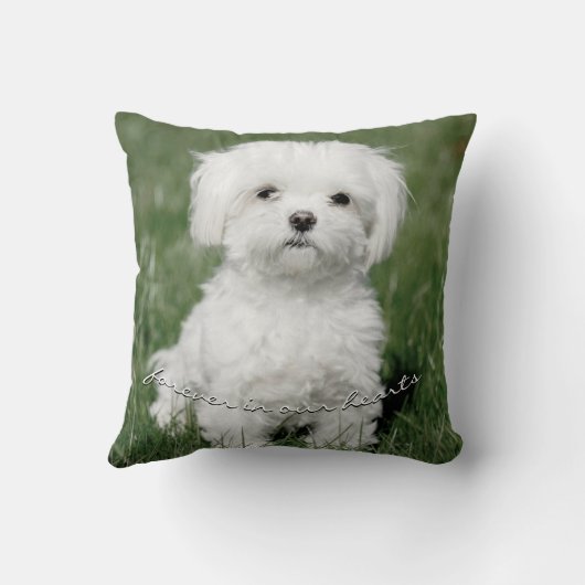 愛もし独り森林犬メモリアル写真祈りの言葉 クッション (裏面)