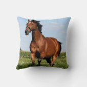 愛もし独り霧の木の記念写真祈りの言葉 クッション (裏面)