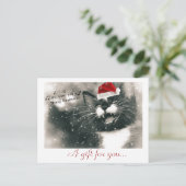 愛らしいおもしろいクリスマス猫の贈り物の証明書を ポストカード (スタンド正面)