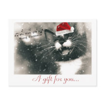 愛らしいおもしろいクリスマス猫の贈り物の証明書を