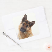 愛らしいおもしろいドイツの羊飼いポートレート スクエアシール (封筒)