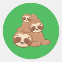 愛らしいおもしろいナマケモノ野生ワン昼寝