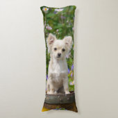 愛らしいかわいい長い髪のクリーム色のチワワ犬の子犬 ボディピロー (正面縦)