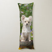 愛らしいかわいい長い髪のクリーム色のチワワ犬の子犬 ボディピロー (裏面 (縦))