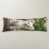 愛らしいかわいい長い髪のクリーム色のチワワ犬の子犬 ボディピロー (正面)