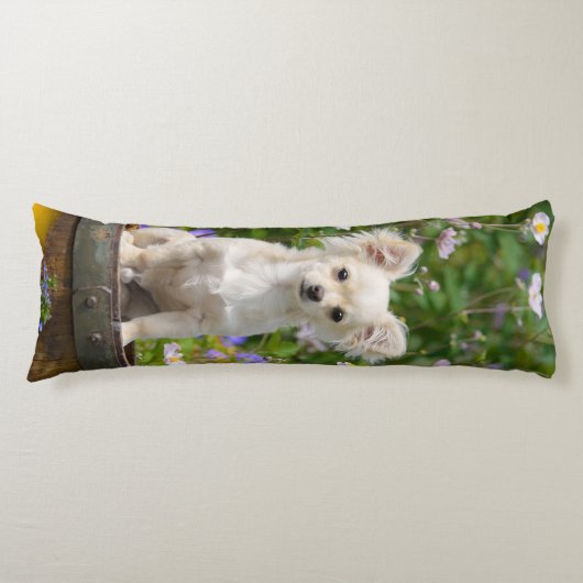 愛らしいかわいい長い髪のクリーム色のチワワ犬の子犬 ボディピロー (正面)