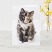 愛らしいさらさの子ネコ カード (黄色い花)