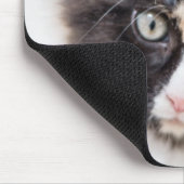 愛らしいさらさの子ネコ マウスパッド (コーナー)