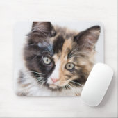 愛らしいさらさの子ネコ マウスパッド (マウス)