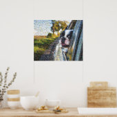 愛らしいぶら下がった犬が窓からモザイク ポスター (キッチン)