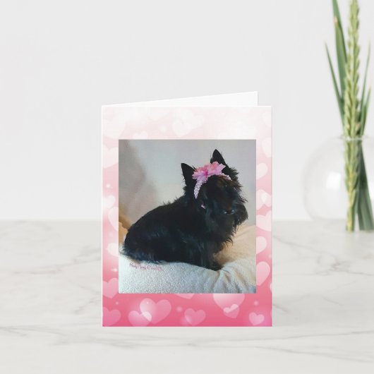 愛らしいまなざし カード (正面)