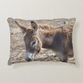 愛らしいろば アクセントクッション (正面)