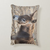 愛らしいろば アクセントクッション (裏面(縦))