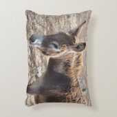 愛らしいろば アクセントクッション (正面(垂直))