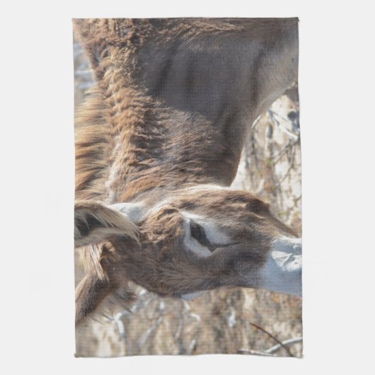 愛らしいろば キッチンタオル (縦)