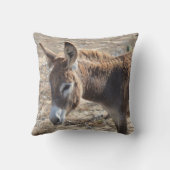 愛らしいろば クッション (裏面)