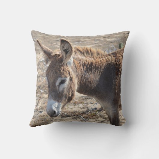 愛らしいろば クッション (裏面)