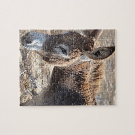 愛らしいろば ジグソーパズル (横)