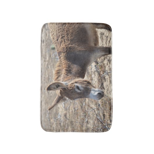 愛らしいろば バスマット (正面縦)