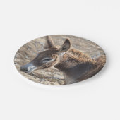 愛らしいろば ペーパープレート (アングル)