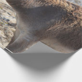 愛らしいろば ラッピングペーパー (角)