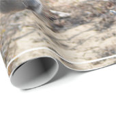 愛らしいろば ラッピングペーパー (ロールコーナー)