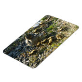 愛らしいアヒル マグネット (左側)