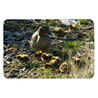 愛らしいアヒル マグネット