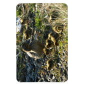 愛らしいアヒル マグネット (縦)