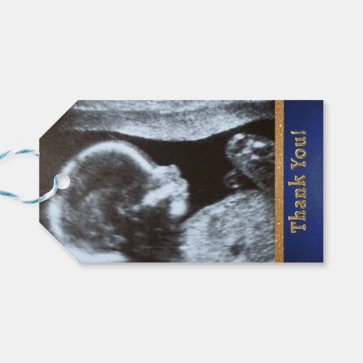 愛らしいアフリ王室のカのプリンスブルー/金ゴールド写真 ギフトタグ (裏面横)