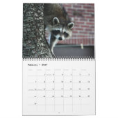 愛らしいアライグマのカレンダー2016年の12か月 カレンダー (2月 2027)