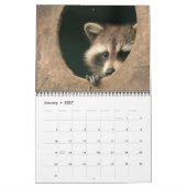 愛らしいアライグマのカレンダー2016年の12か月 カレンダー (1月 2027)