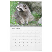 愛らしいアライグマのカレンダー2016年の12か月 カレンダー (3月 2027)