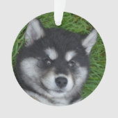愛らしいアルスキーの子犬 オーナメント (正面)