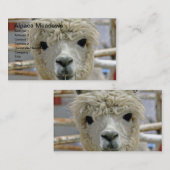 愛らしいアルパカメドウズ 名刺 (正面/裏面)