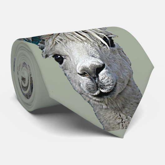 愛らしいアルパカ ネクタイ (ロール)