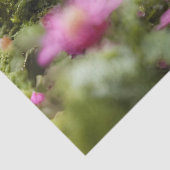 愛らしいインチワーム 薄葉紙 (詳細)