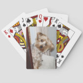愛らしいウェスティー/ヨークシャーテリア トランプ (裏面)