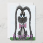 愛らしいウサギ  カード (正面)